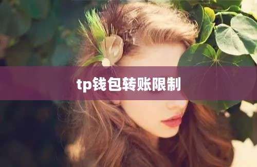 tp钱包转账限制