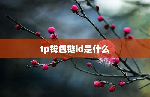 tp钱包链id是什么