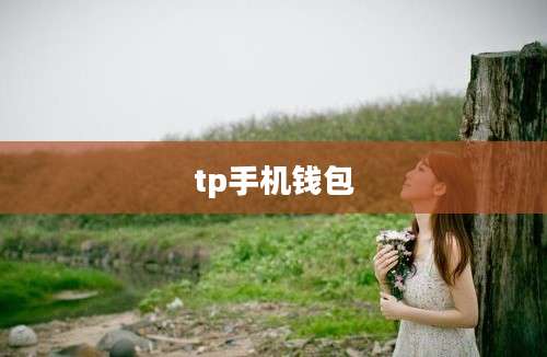 tp手机钱包