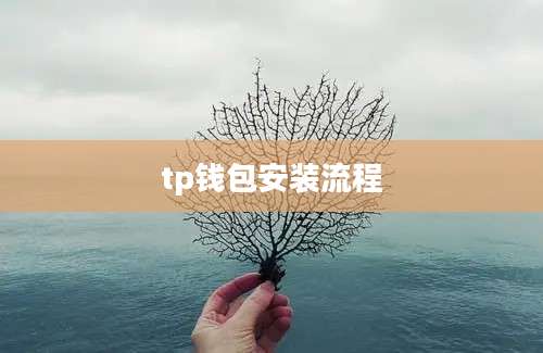 tp钱包安装流程