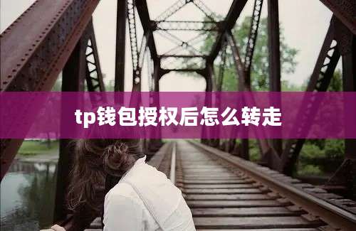 tp钱包授权后怎么转走