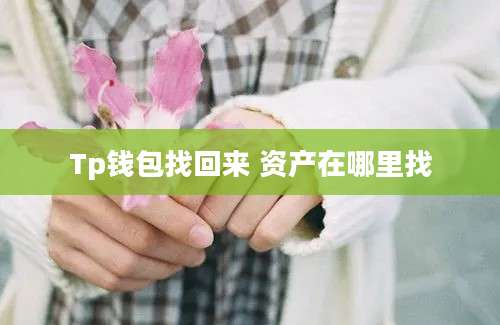 Tp钱包找回来 资产在哪里找