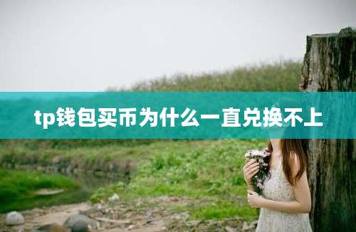 tp钱包买币为什么一直兑换不上