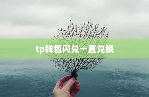 tp钱包闪兑一直兑换