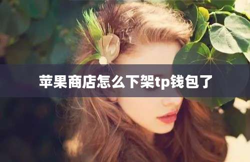 苹果商店怎么下架tp钱包了