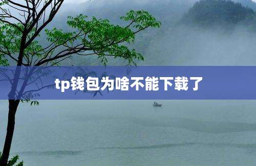tp钱包为啥不能下载了