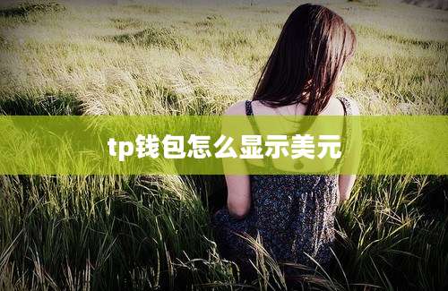 tp钱包怎么显示美元