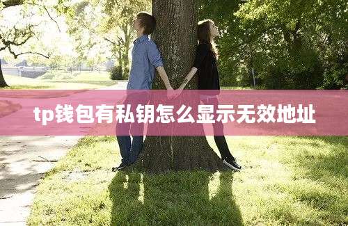 tp钱包有私钥怎么显示无效地址