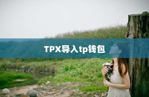 TPX导入tp钱包