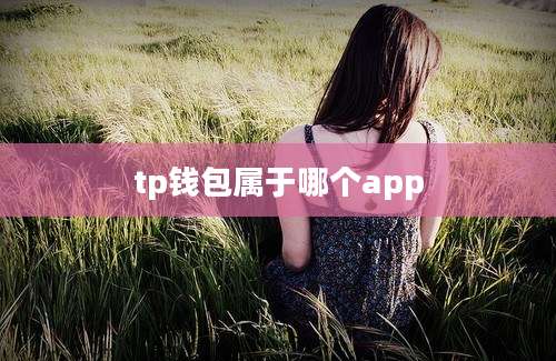 tp钱包属于哪个app