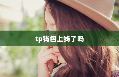 tp钱包上线了吗