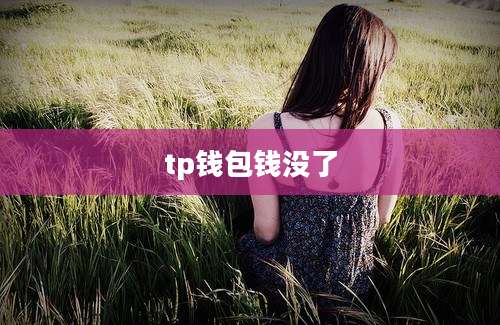 tp钱包钱没了