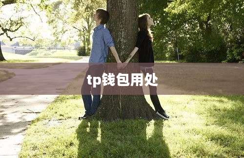 tp钱包用处