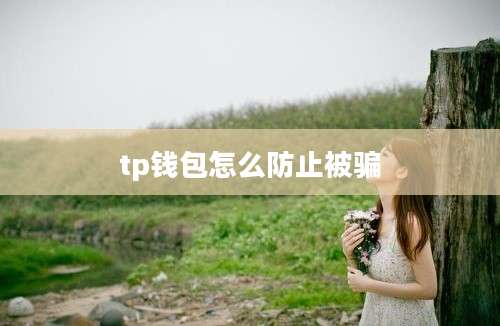 tp钱包怎么防止被骗
