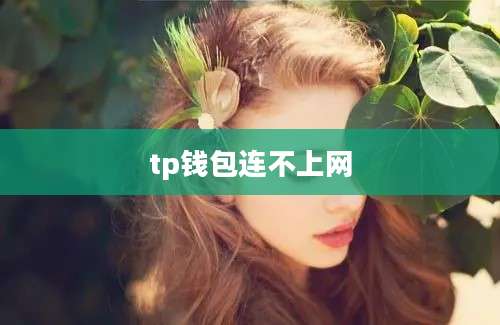 tp钱包连不上网