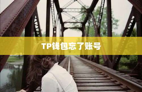 TP钱包忘了账号