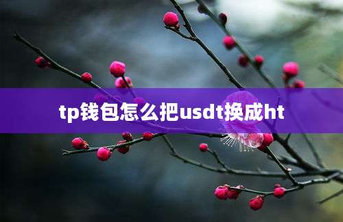 tp钱包怎么把usdt换成ht
