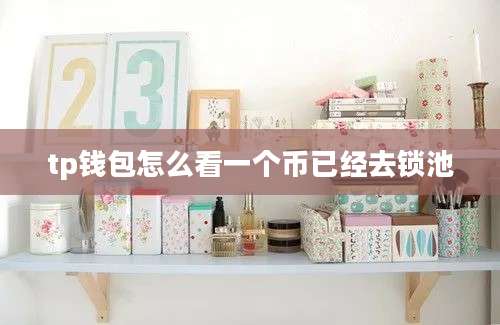 tp钱包怎么看一个币已经去锁池