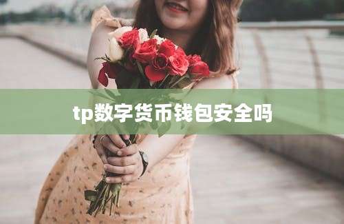 tp数字货币钱包安全吗