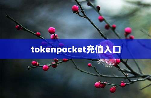 tokenpocket充值入口