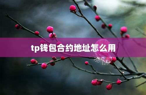 tp钱包合约地址怎么用