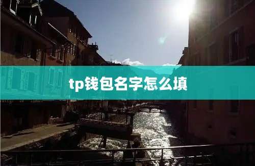 tp钱包名字怎么填