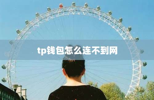 tp钱包怎么连不到网