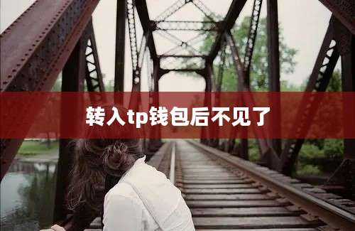 转入tp钱包后不见了
