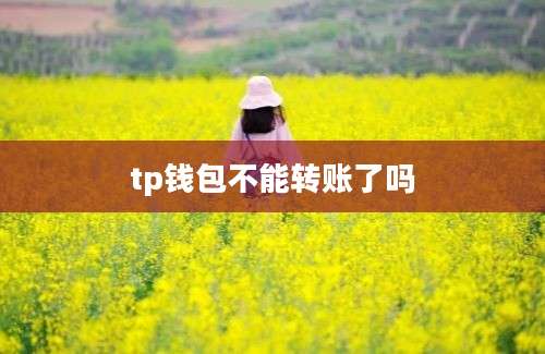 tp钱包不能转账了吗