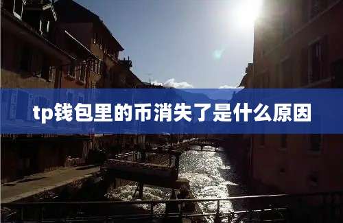 tp钱包里的币消失了是什么原因