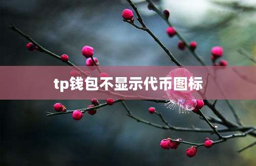tp钱包不显示代币图标