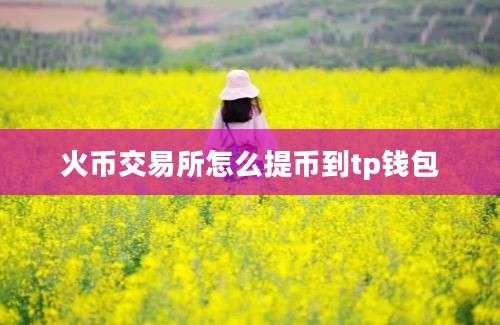 火币交易所怎么提币到tp钱包
