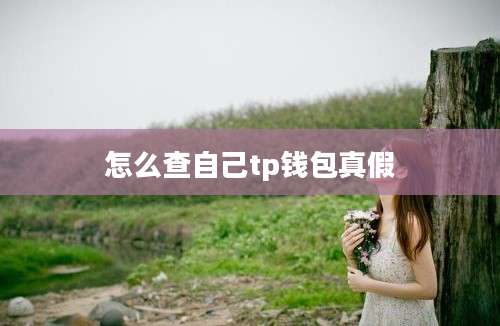 怎么查自己tp钱包真假