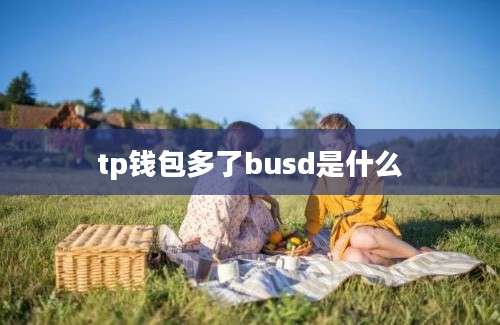 tp钱包多了busd是什么