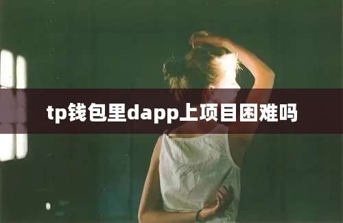 tp钱包里dapp上项目困难吗