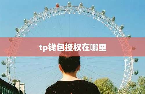 tp钱包授权在哪里