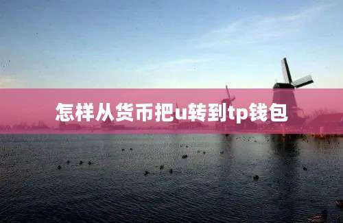 怎样从货币把u转到tp钱包
