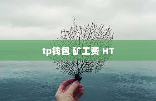 tp钱包 矿工费 HT