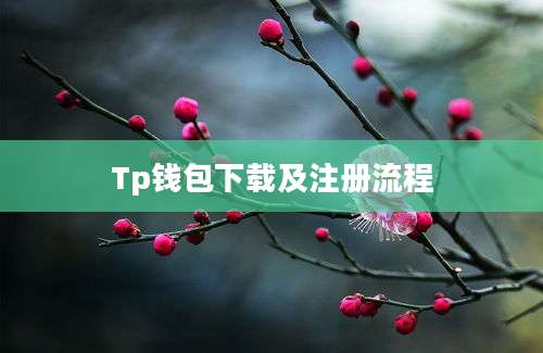 Tp钱包下载及注册流程