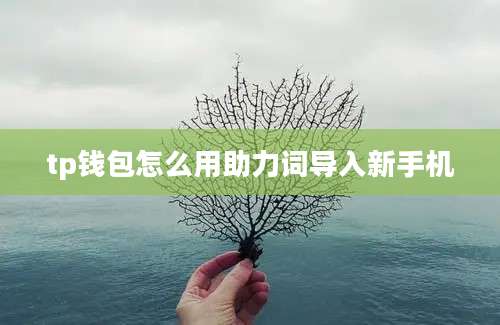 tp钱包怎么用助力词导入新手机