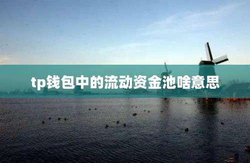 tp钱包中的流动资金池啥意思