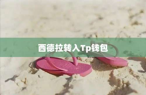 西德拉转入Tp钱包