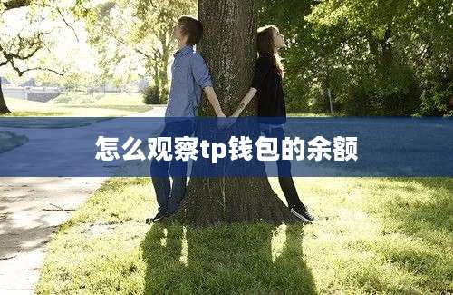 怎么观察tp钱包的余额