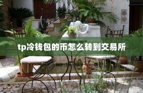 tp冷钱包的币怎么转到交易所