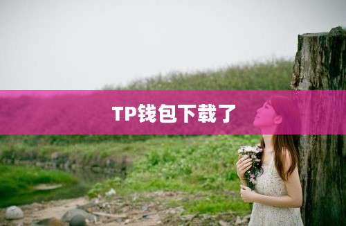 TP钱包下载了
