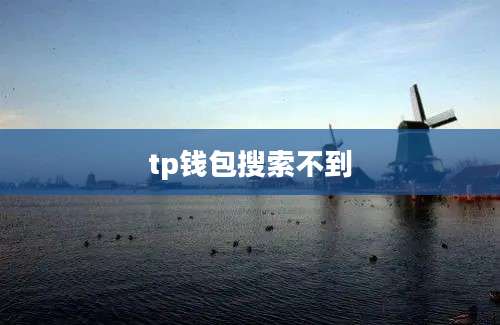tp钱包搜索不到