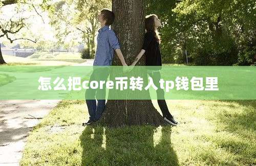 怎么把core币转入tp钱包里