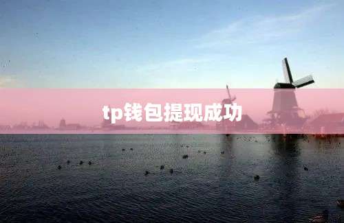 tp钱包提现成功