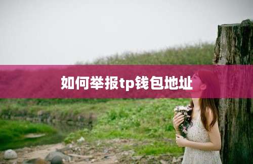 如何举报tp钱包地址