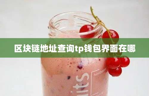 区块链地址查询tp钱包界面在哪